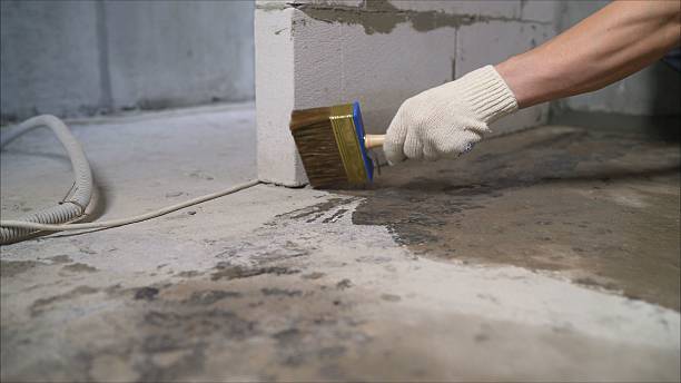24/7 Emergency Crawl Space Encapsulation experts in Byron, MN
